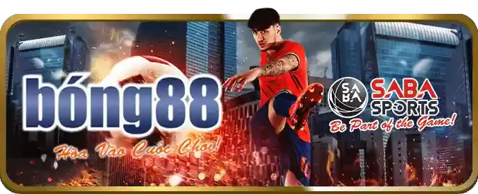 Chương trình VIP đá gà